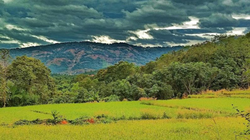 Best restaurants in perinthalmanna