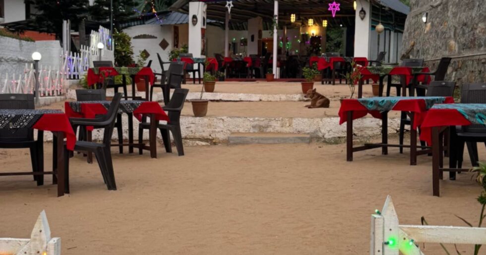 Ali's Kitchen Kovalam