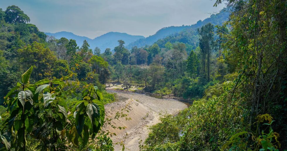 Restauarants in Ranni