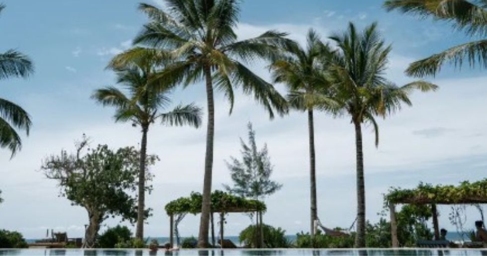 best restaurants in wadakkanchery