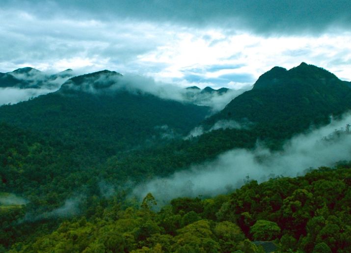 Best Restaurants in Mannarkkad-Top 5 Places to Eat in 2026