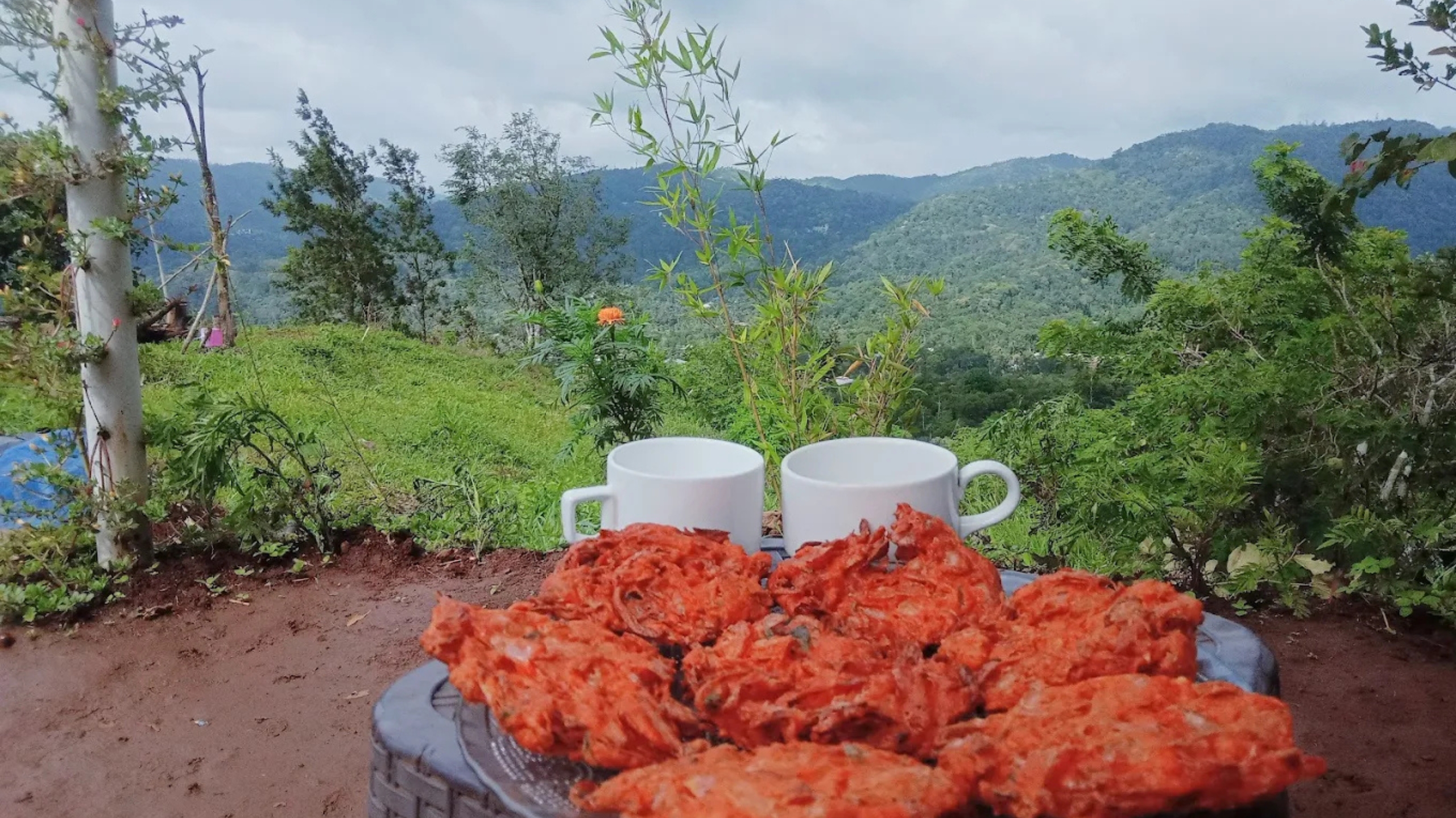 Hill View Cafe & Homestay in Vandiperiyar with scenic hill views and Kerala food