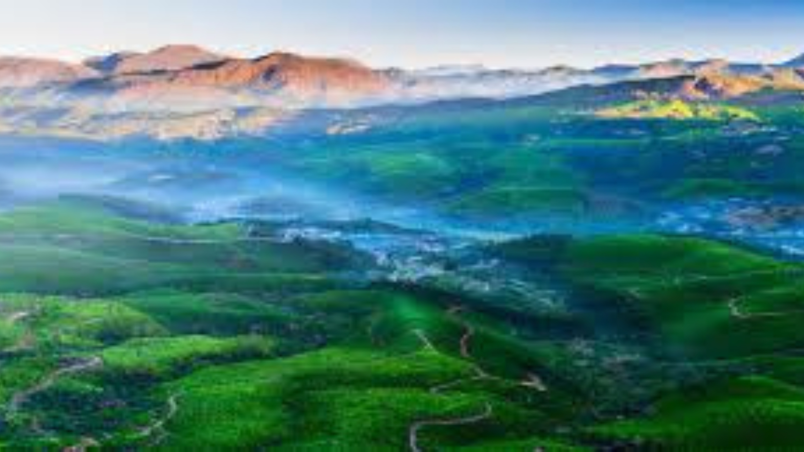 Top restaurants in Devikulam serving authentic Kerala food and local dining experiences in Idukki