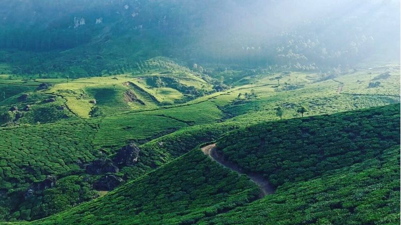 Best Restaurants in Kanjirappally Town and Coffee Spots