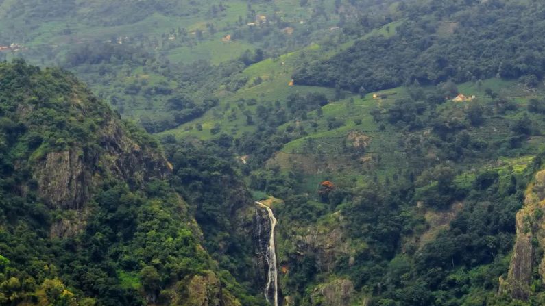 restaurants in perumbavoor set against the lively town atmosphere and local surroundings