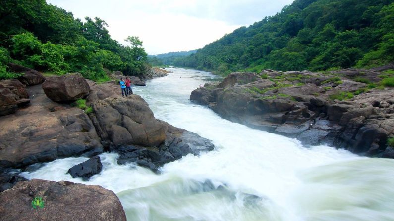 Best Restaurants in Pathanamthitta Town and Coffee spots