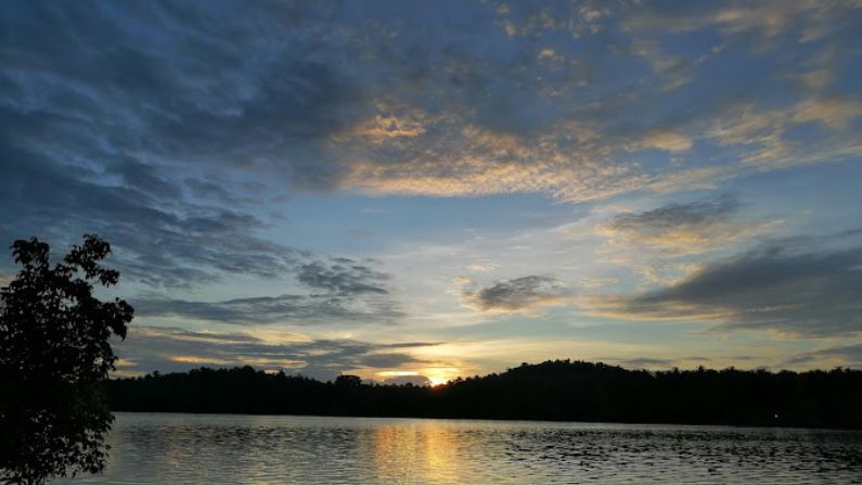 City view of Ramanattukara town, highlighting popular restaurants in Ramanattukara and the busy roadside food spots.