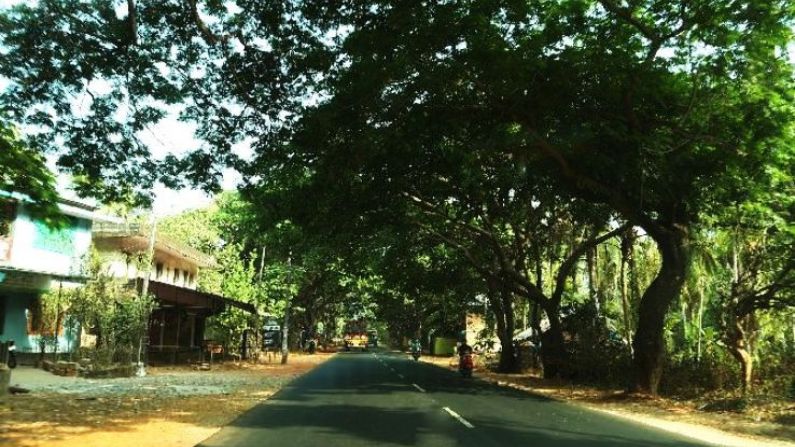 Best Restaurants in Panoor for Tasty Meals and Local Kerala Flavours